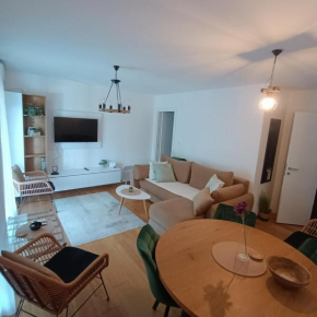 Apartman LIN LUX SA TERASOM